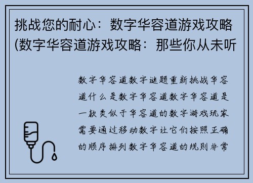挑战您的耐心：数字华容道游戏攻略(数字华容道游戏攻略：那些你从未听说的技巧和策略)